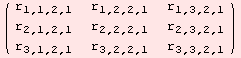 ( {{r_ (1, 1, 2, 1), r_ (1, 2, 2, 1), r_ (1, 3, 2, 1)}, {r_ (2, 1, 2, 1), r_ (2, 2, 2, 1), r_ (2, 3, 2, 1)}, {r_ (3, 1, 2, 1), r_ (3, 2, 2, 1), r_ (3, 3, 2, 1)}} )