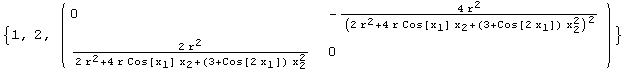 {1, 2, ( {{0, -(4 r^2)/(2 r^2 + 4 r Cos[x_1] x_2 + (3 + Cos[2 x_1]) x_2^2)^2}, {(2 r^2)/(2 r^2 + 4 r Cos[x_1] x_2 + (3 + Cos[2 x_1]) x_2^2), 0}} )}