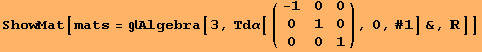 ShowMat[mats = Algebra[3, Τdα[({{-1, 0, 0}, {0, 1, 0}, {0, 0, 1}}), 0, #1] &, ]]